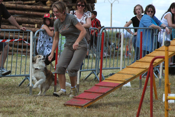 Journée d'agility 177