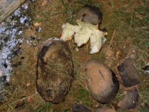 Cooking Potatoes With Mud ClayBakedPotatoe-300x225