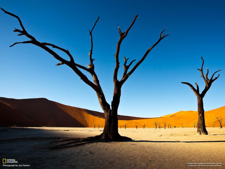 ''Nacionalna geografija'' - Najfotografije - Page 3 Umetnost_National_Geographic_fotografije_24