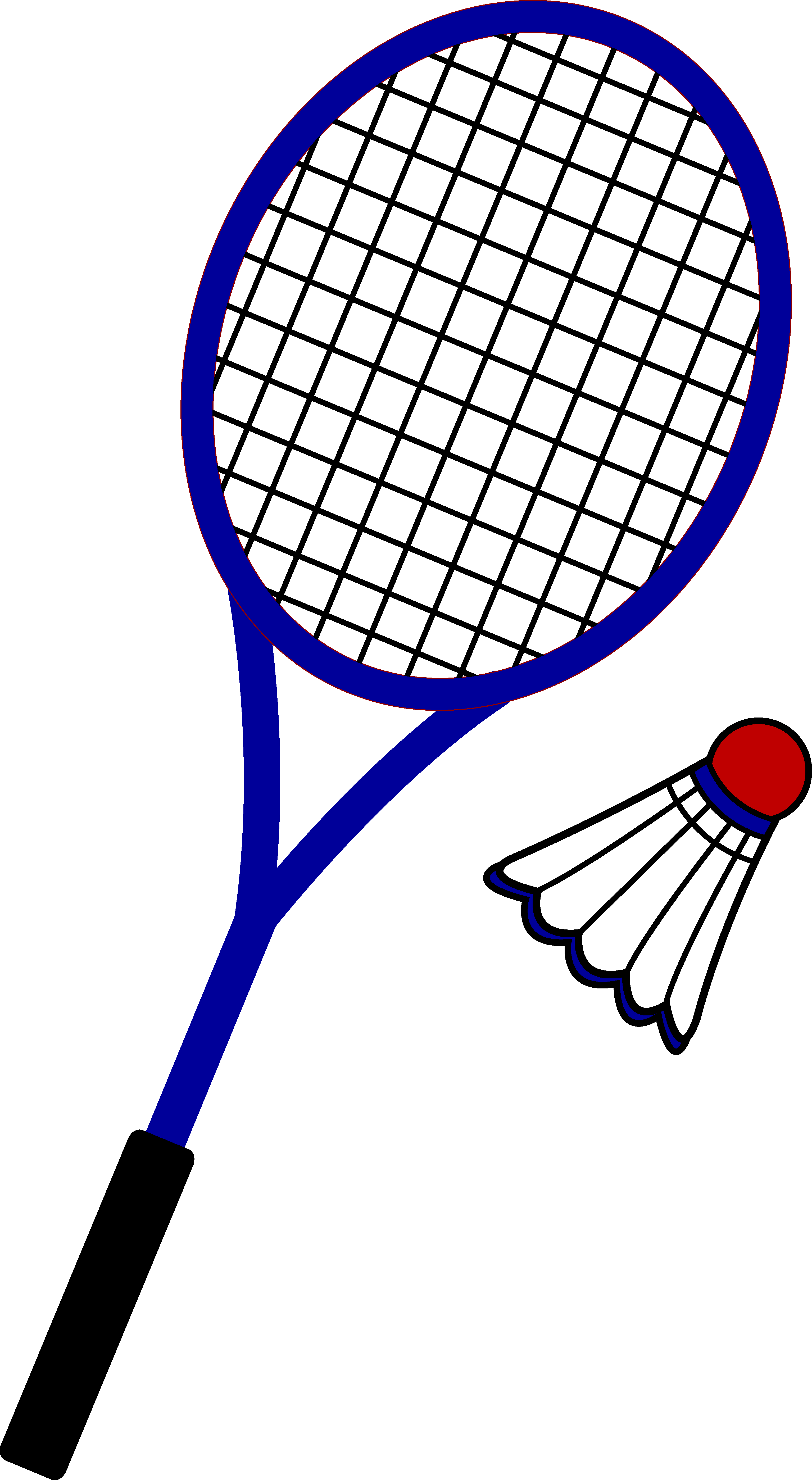 Badminton Badminton