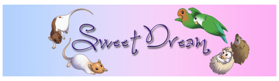 SweetDream Rattery Forum