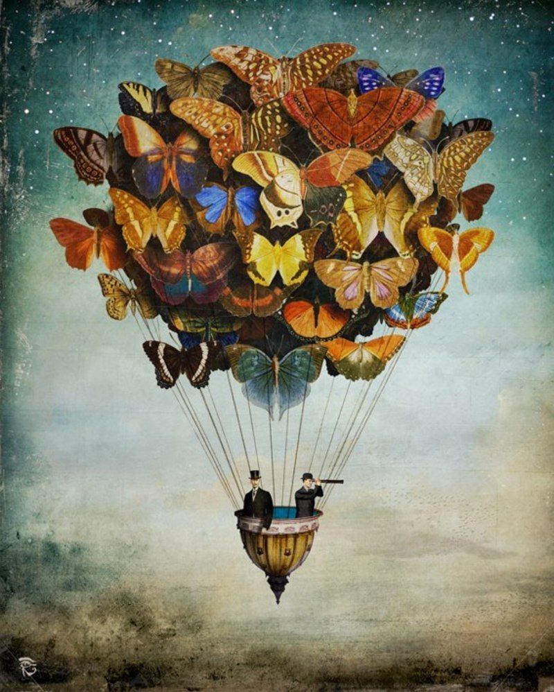  ... " EL VALS DE LAS MARIPOSAS "... - Página 2 ChristianSchloe14