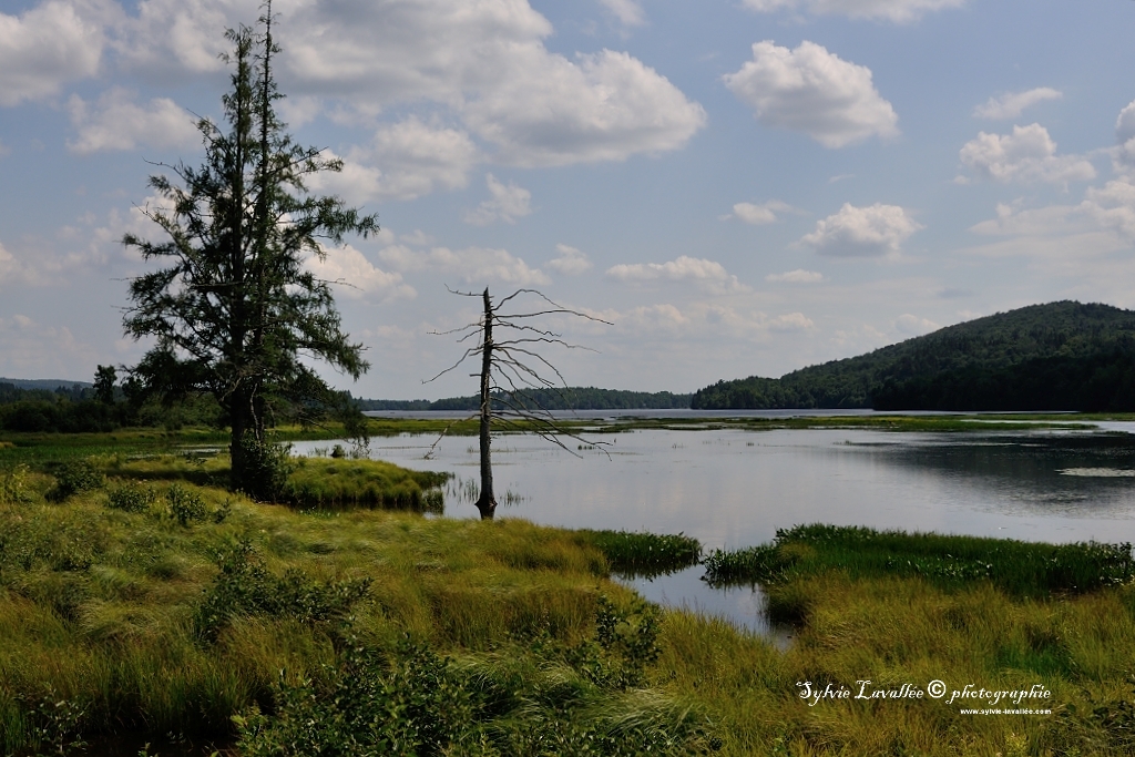 Pointe vu sur le marais Dsc_0479-2-1024-s