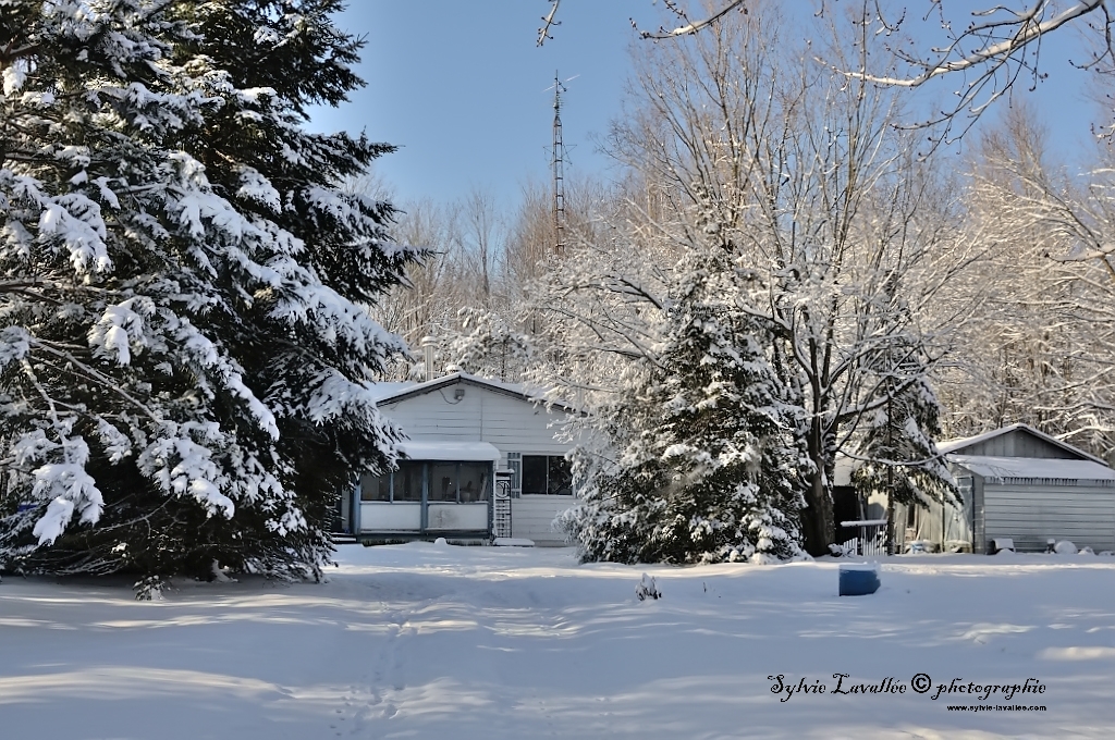 Chez moi ce matin Dsc_4838-2-1024-s