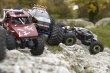 (video/photos)rencontre dans le 76 Crawler_1008_05