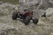 (video/photos)rencontre dans le 76 Crawler_1008_12