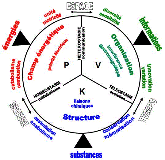 Philosophie holistique et modèle systémique 3.3_MIFphysio