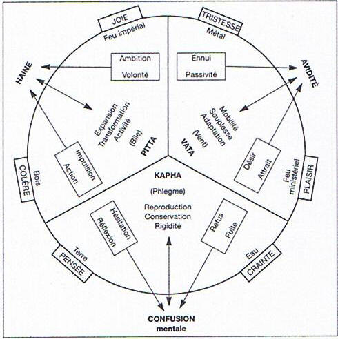 Etats affectifs selon les conceptions holistiques orientales 3.7_MIF_psy