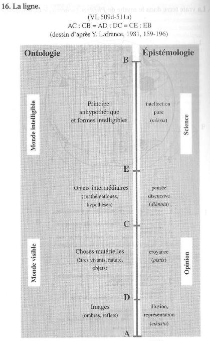 Eidos, l'idée-modèle d'organisation de Platon Platon_ligne