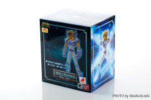 [Imagens] Saint Cloth Myth EX - Hyoga de Cisne 6eWzq3sS