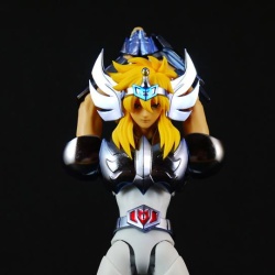 [Imagens] Saint Cloth Myth EX - Hyoga de Cisne 9LZY9B3B