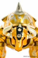 Taurus Aldebaran Gold Cloth EX PFvcifkU