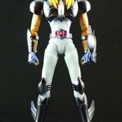 [Imagens] Saint Cloth Myth EX - Hyoga de Cisne T9NO6zDp