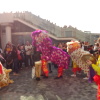 香港龍獅節 Hong Kong Lion Dragon Festival AbcFOsVU