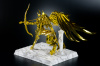 Sagittarius Seiya Gold Cloth AbcYwBQy