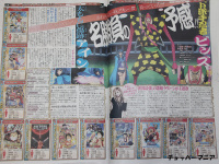 One Piece Zeitung AbcaiUaX