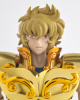 Leo Aiolia Gold Cloth EX AbhkEN9y