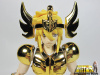 Cygnus Hyoga New Bronze Cloth ~ Power of Gold AbipRQbZ