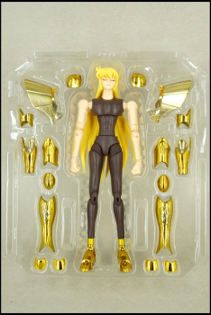  [Ottobre 2012]Saint Cloth Myth EX Virgo Shaka - Pagina 19 Abj1BDbp