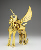 Pegasus Seiya New Bronze Cloth ~ Power of Gold AbjPswwL