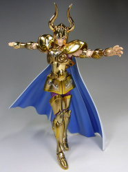  [Luglio 2013] Saint Cloth Myth EX Capricorn Shura - Pagina 10 AbkE0aM0