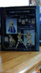 Capricorn Shura Gold Cloth EX AbkEcYcs