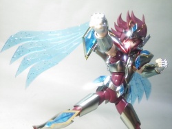 Pegasus Koga New Bronze Cloth AbkOGmPJ