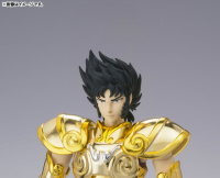 Capricorn Shura Gold Cloth EX AbmER83k