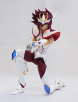 S.H Figuarts Pegasus Koga - Page 3 AbnTiNEf