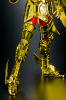 Sagittarius Seiya Gold Cloth AbogTHrM