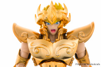 Myth Cloth EX du Lion ~ OCE (Novembre 2013= - Page 3 AbozabJ6