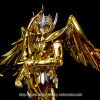 Sagittarius Aiolos Gold Cloth EX - Page 2 AbpBlLKu