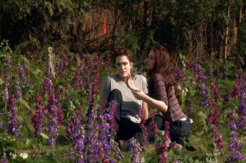 Imágenes desde el BTS de Breaking Dawn Part 1 y 2 Abs9El6c