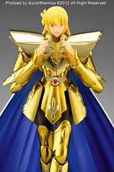 Virgo Shaka Gold Cloth EX - Page 2 AbsSysS6