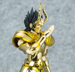  [Luglio 2013] Saint Cloth Myth EX Capricorn Shura - Pagina 10 Absx5pJu