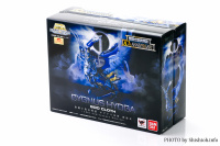 Cygnus Hyoga God Cloth ~ 10th Anniversary Edition AbtUmw6u