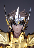 Sagittarius Aiolos Gold Cloth EX - Page 4 Abtq85ZE