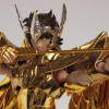 [Myth Cloth EX] Sagittarius Gold Cloth (25 Août 2012) - Page 2 AbwoUonc