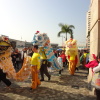 香港龍獅節 Hong Kong Lion Dragon Festival Abwozykf