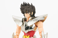 Pegasus Seiya New Bronze Cloth - Page 2 Abx8G0F9