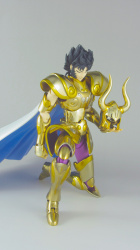  [Luglio 2013] Saint Cloth Myth EX Capricorn Shura - Pagina 11 Abyz9NkK