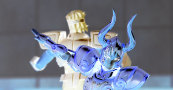  [Luglio 2013] Saint Cloth Myth EX Capricorn Shura - Pagina 10 AcbwZb6G