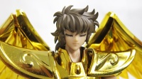 [Myth Cloth EX] Sagittarius Gold Cloth (25 Août 2012) - Page 2 AccWnfLn