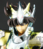 Pegasus Seiya God Cloth Accewsjp