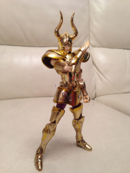  [Luglio 2013] Saint Cloth Myth EX Capricorn Shura - Pagina 10 AcctBlUs