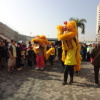 香港龍獅節 Hong Kong Lion Dragon Festival AcdPGwZR