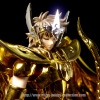 Sagittarius Aiolos Gold Cloth EX - Page 2 AceSCLQv