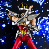 [Comentários] Saint Cloth Myth Ex - Seiya de Pegasus V2 - Página 12 AcegDl6A