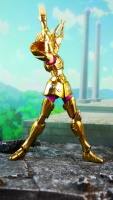 Capricorn Shura Gold Cloth EX AcfmfdbE