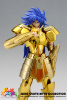 Gemini Saga Gold Cloth EX AcgYtFeb